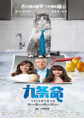 开车的女人